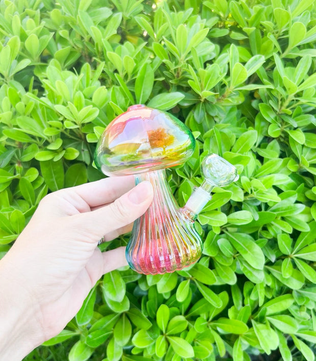 Rainbow Mushroom Glass Water Pipe/Dab Rig