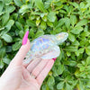 Iridescent Turtle Glass Hand Pipe