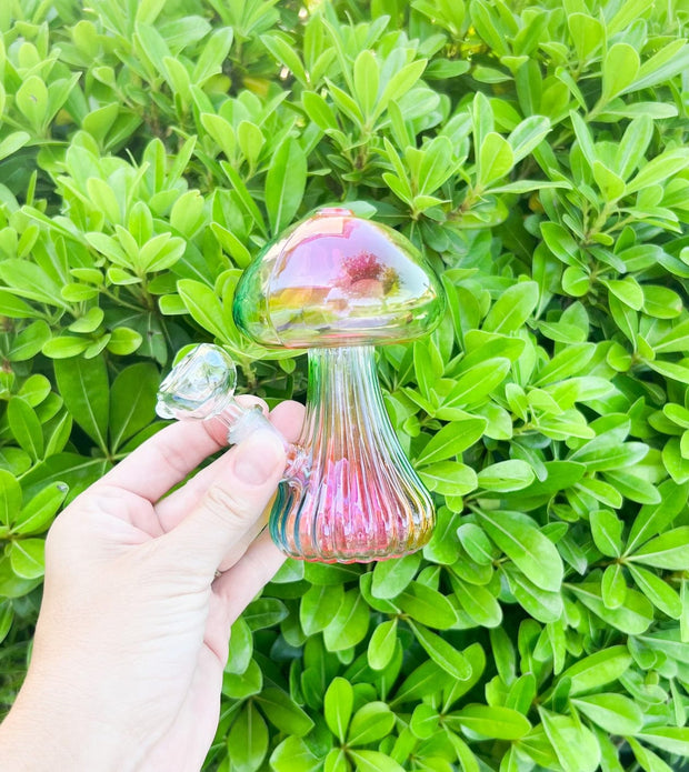 Rainbow Mushroom Glass Water Pipe/Dab Rig