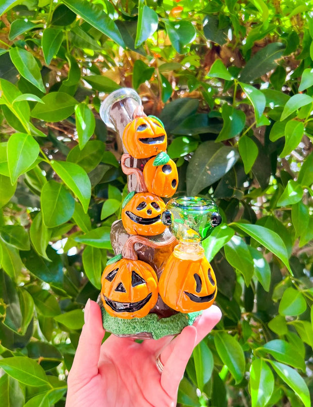 Pumpkin Patch Glass Water Pipe/Rig