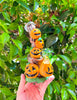 Pumpkin Patch Glass Water Pipe/Rig