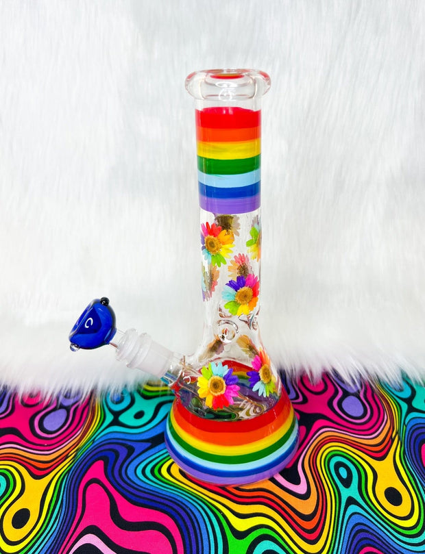 Rainbow Dried Floral Glass Water Pipe/Bong