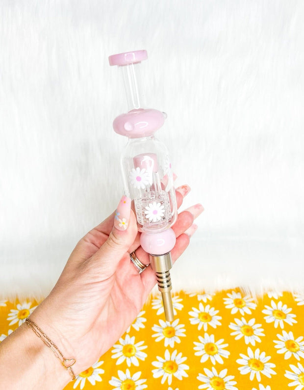 Pink Daisies Nectar Collector