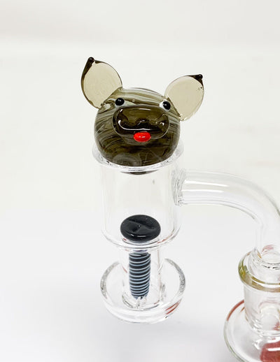 Dog Terp Slurper Marble Set