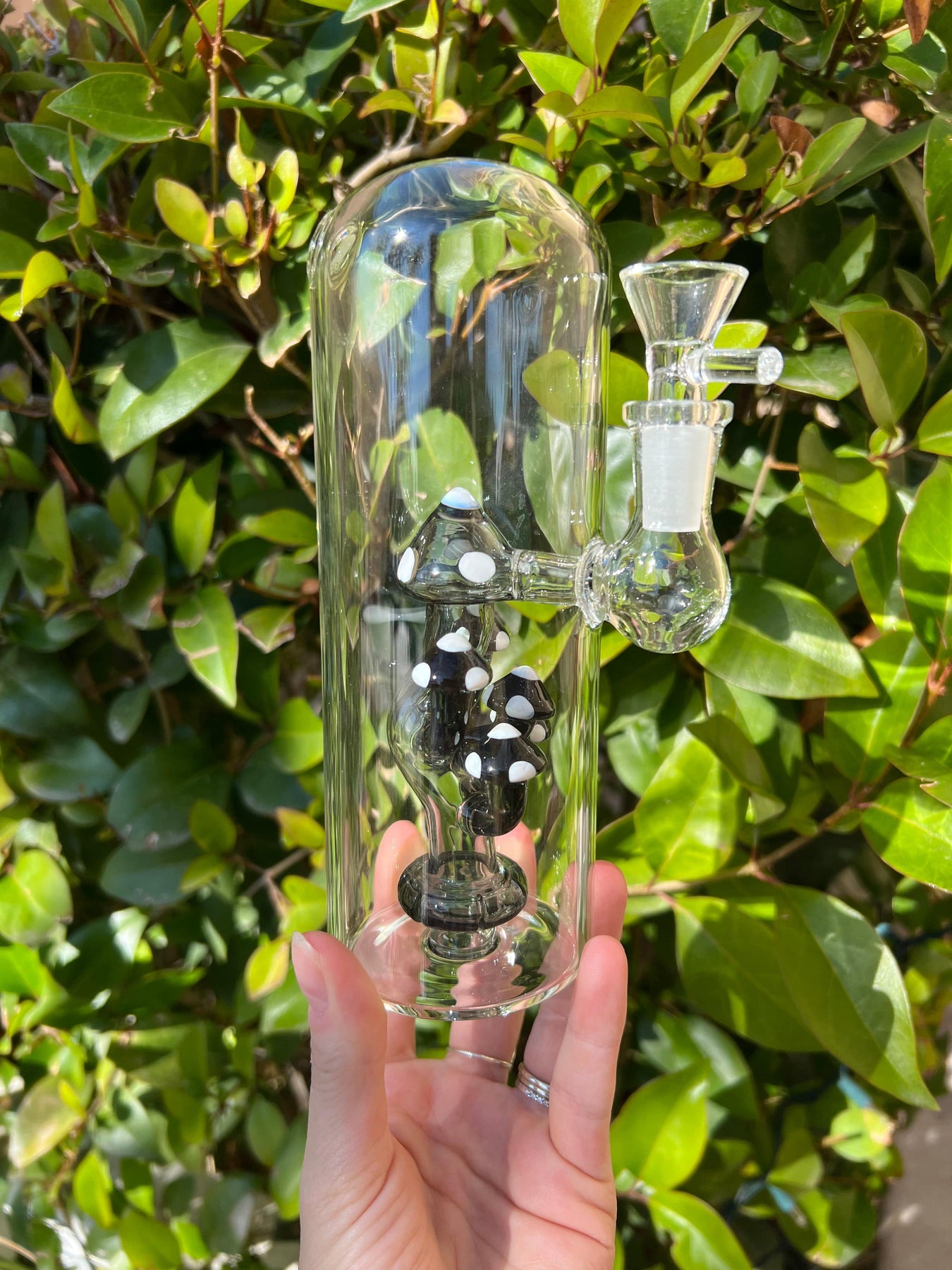 Blaze Glass Percolator Bong - Mushroom